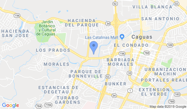 Academia de Artes Marciales de Caguas location Map