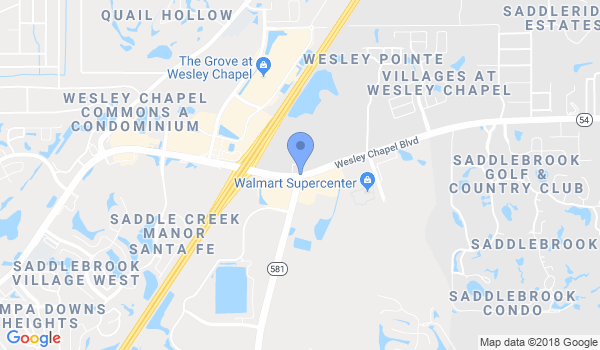 Premier Martial Arts - Wesley Chapel Florida location Map