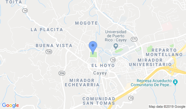 Seishin Kyokushin Puerto Rico location Map