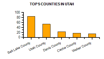 Top Counties in Nevada with highest number of Martial Arts Schools